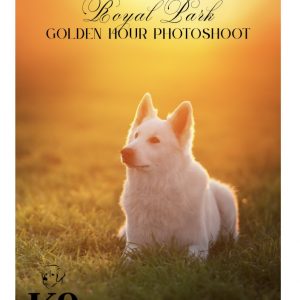 K9 FUNZONE – ROYAL PARK GOLDEN HOUR PHOTOSHOOT